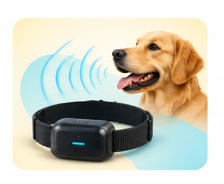 Smart dog training collar emitting sound cues beside a golden retriever
