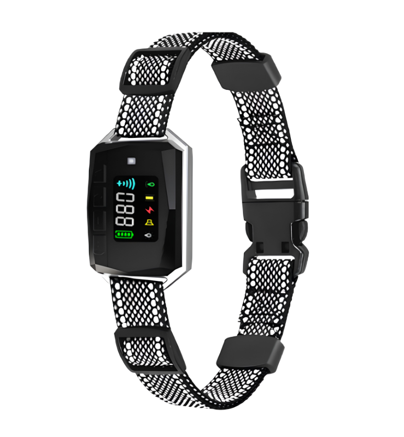 GPS Wireless Electronic Fence PD 100