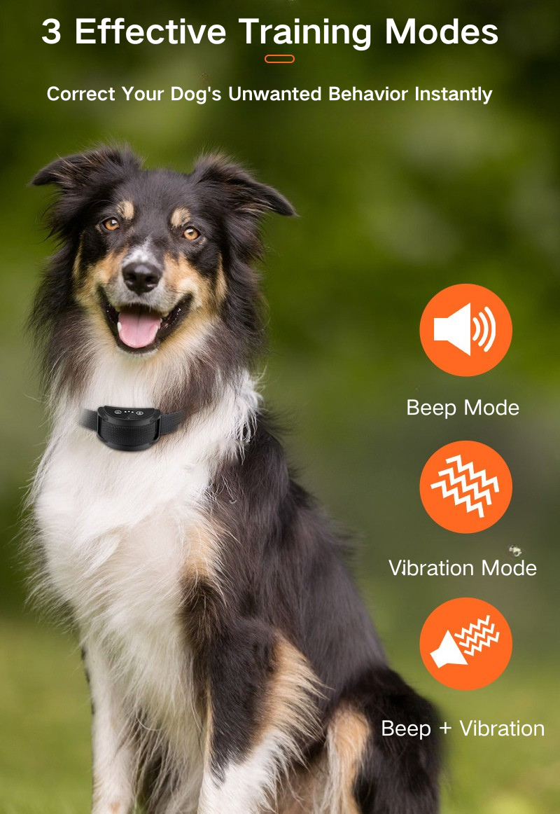 Smart Bark Control Collar PD 258S