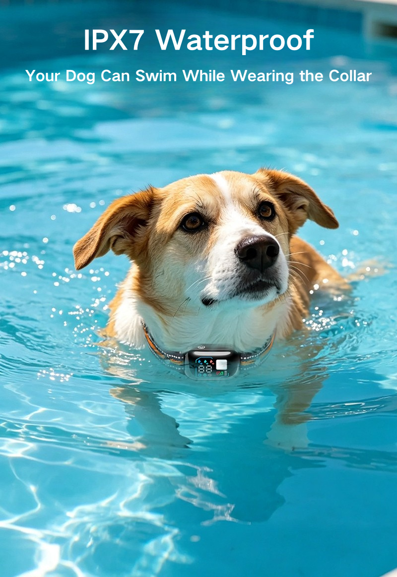 Remote Pet Training Collar & Bark Controller 2-in-1 PD509