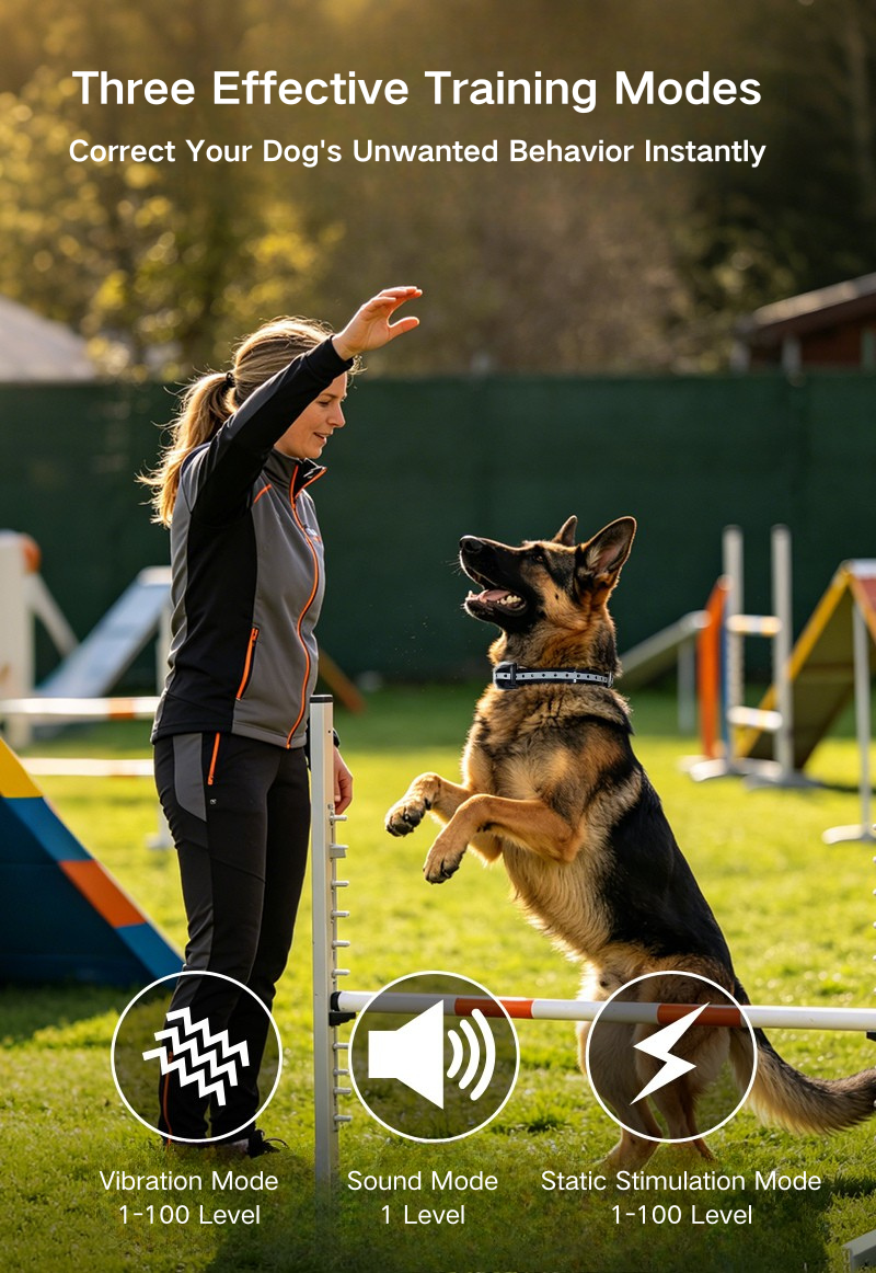 Remote Dog Training Collar PD 529