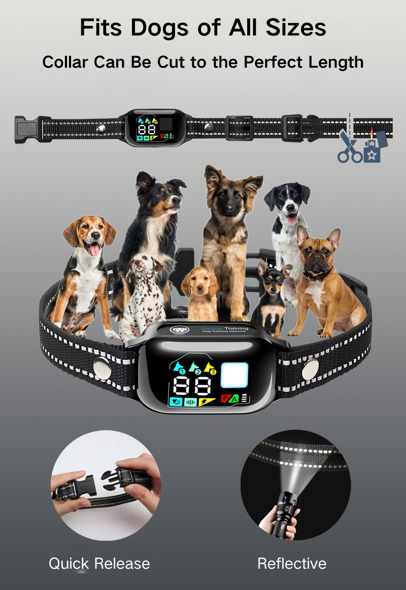 Remote Dog Training Collar & Bark Controller 2-in-1 PD513