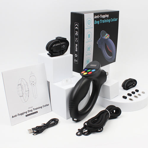 Electronic Dog Leash PD800