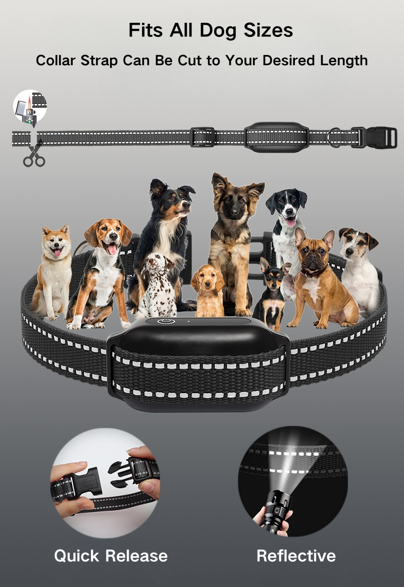 Remote Dog Training Collar PD 516U