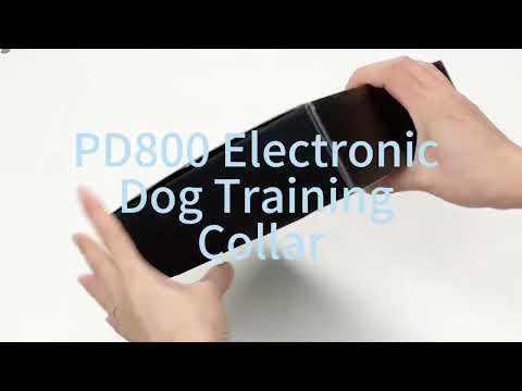 Electronic Dog Leash PD800